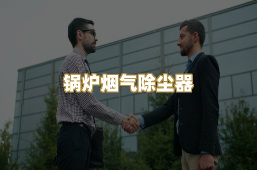 锅炉烟气除尘器