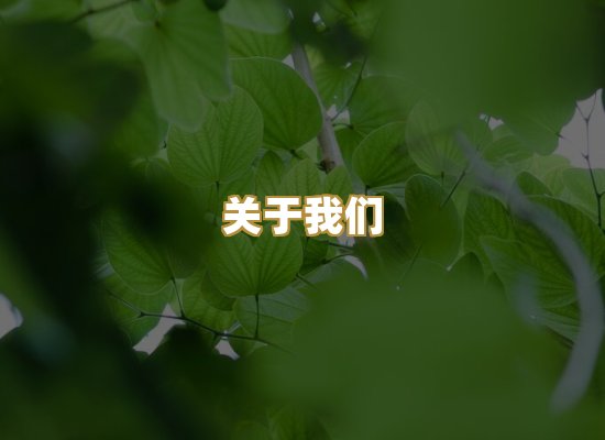 关于我们